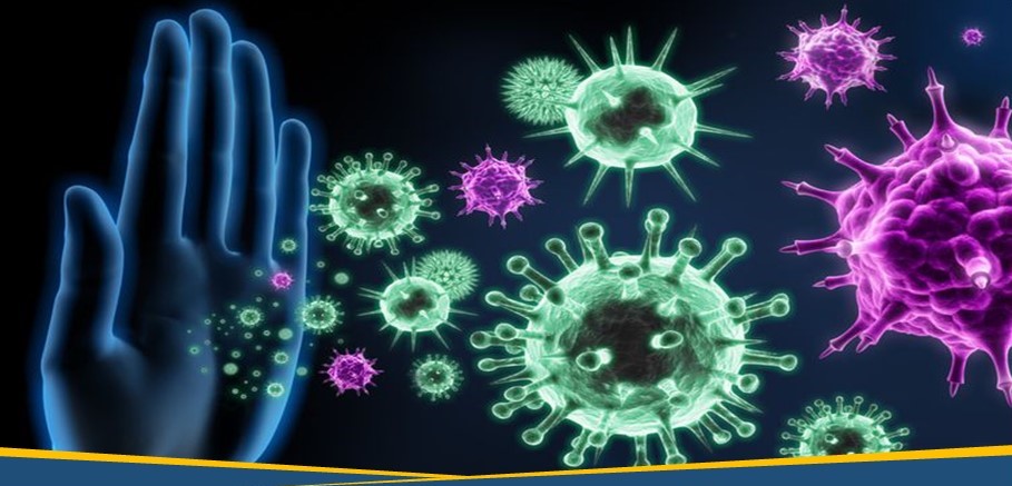 Kiat-Kiat Menyikapi Virus Corona